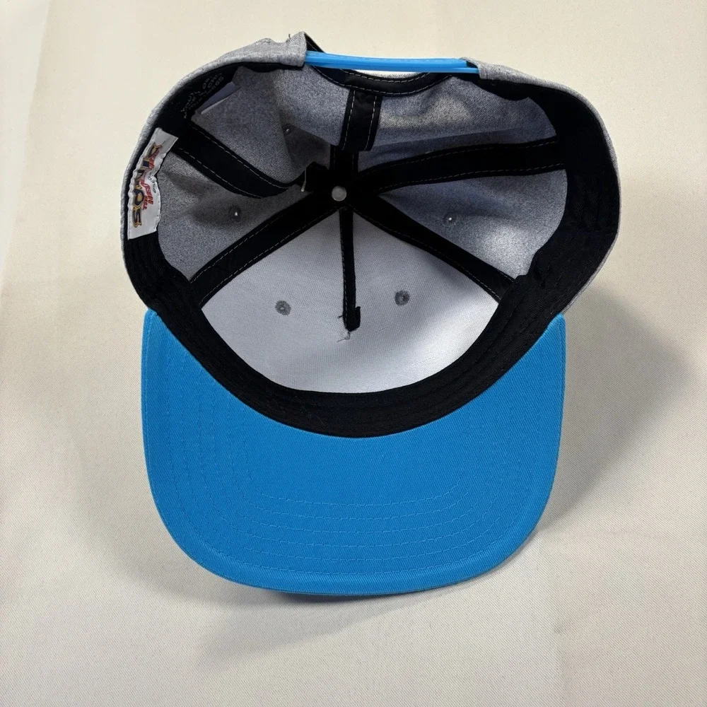 Sonic the Hedgehog Snapback Hat Youth OSFM Grey Blue Rubber Graphic SEGA Cap